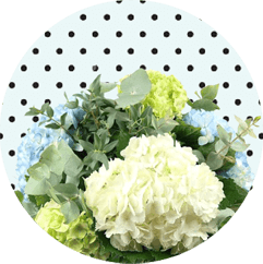 Anniversary Flowers Tufnell Park